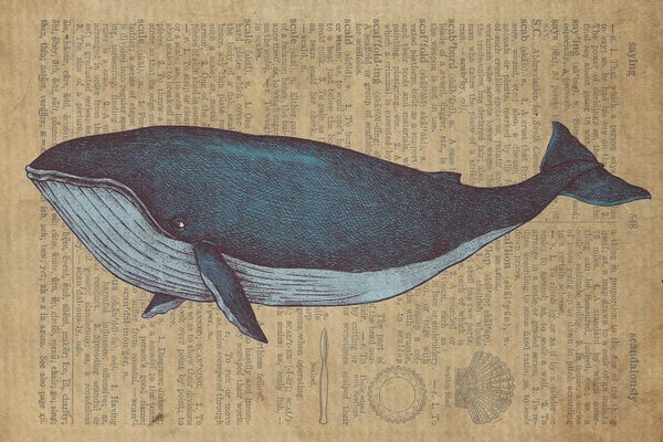 Cottagecore Goes Coastal: Vintage Whale Sketch On Old Paper by FisherCraft