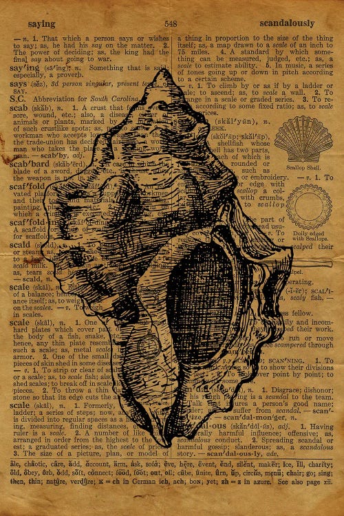 Seashell Etching On Old Paper