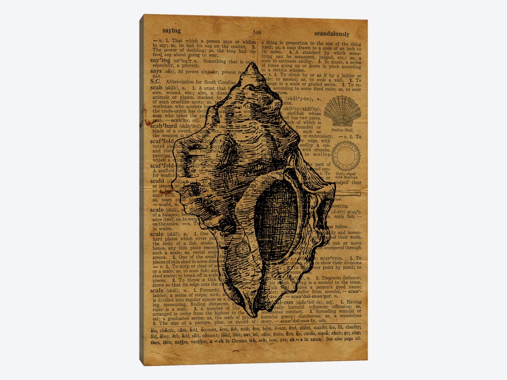 Seashell Etching On Old Paper by FisherCraft 1-piece Canvas Print