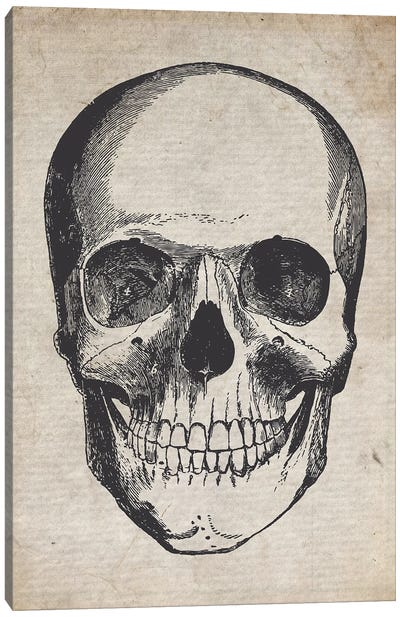 Skull Vintage Sketch Canvas Art Print - FisherCraft