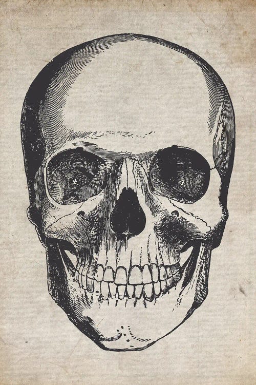 Skull Vintage Sketch by FisherCraft wall art