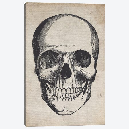 Skull Vintage Sketch Canvas Print #FHC183} by FisherCraft Canvas Artwork