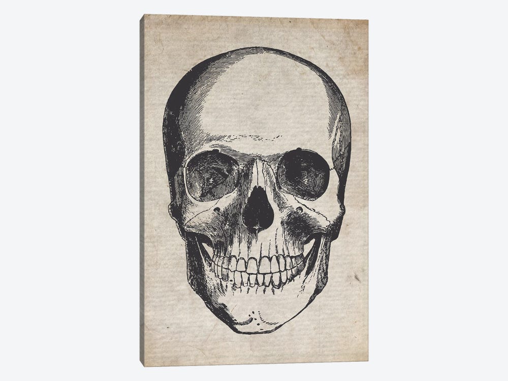 Skull Vintage Sketch by FisherCraft 1-piece Canvas Art