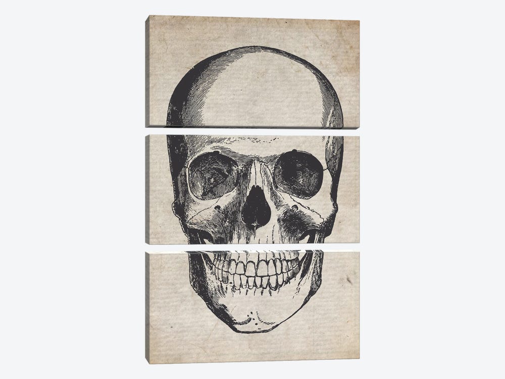 Skull Vintage Sketch by FisherCraft 3-piece Canvas Wall Art