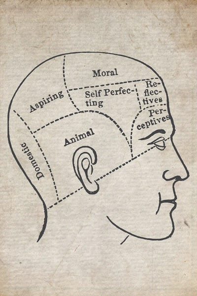 Mind Vintage Sketch by FisherCraft canvas print