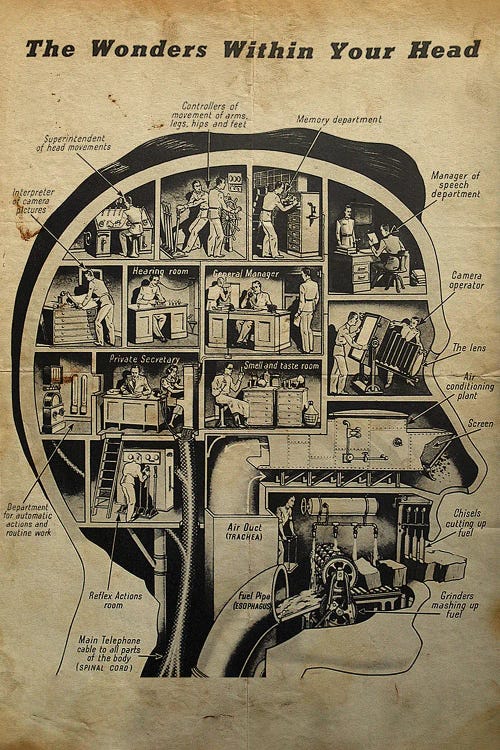 The Wonders Within Your Head by FisherCraft wall art