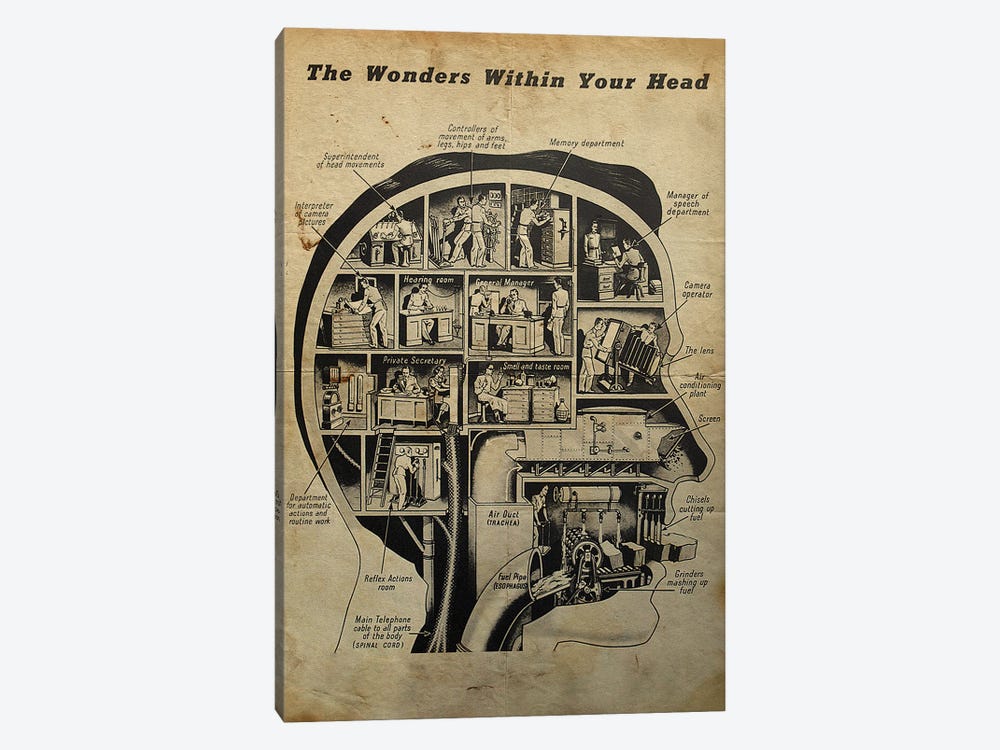 The Wonders Within Your Head by FisherCraft 1-piece Art Print