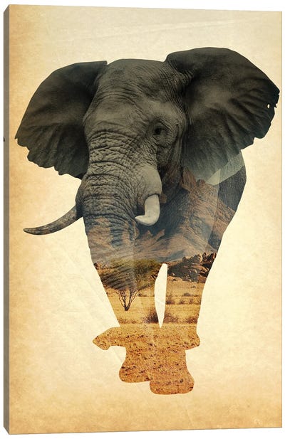 African Elephant Double Exposure Canvas Art Print - FisherCraft
