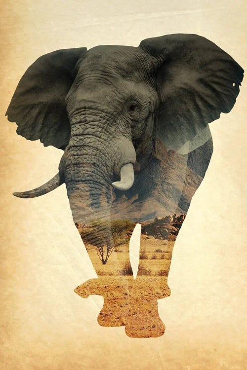 African Elephant Double Exposure