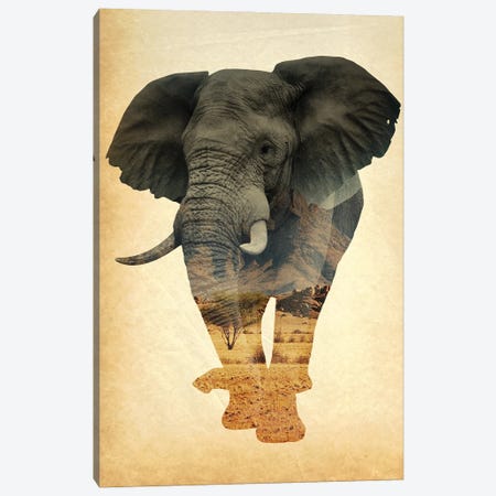 African Elephant Double Exposure Canvas Print #FHC1} by FisherCraft Canvas Art