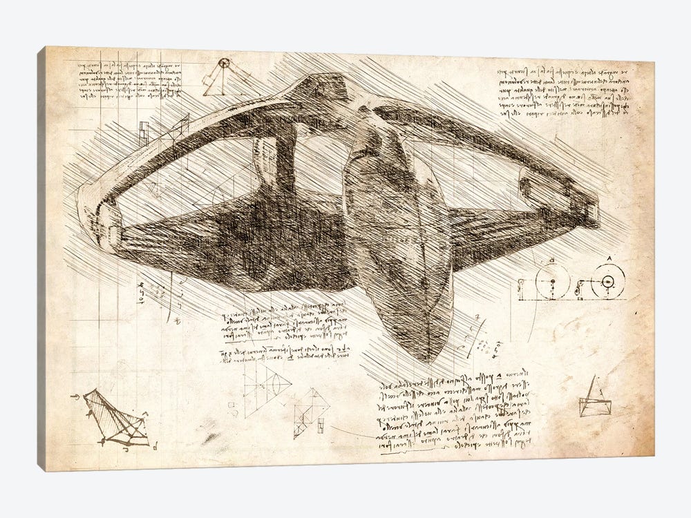 Star Trek Romulan Sepia by FisherCraft 1-piece Canvas Print
