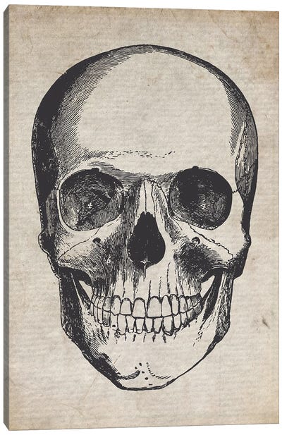 Vintage Skull Medical Print Canvas Art Print - Anatomy Art