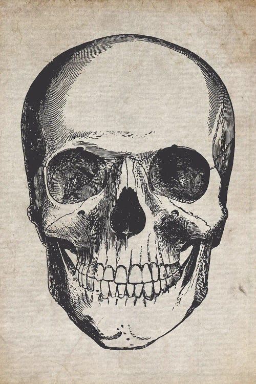 Vintage Skull Medical Print