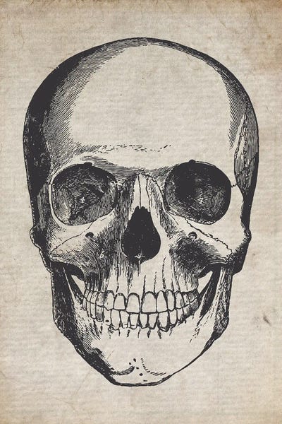 Biology: Vintage Skull Medical Print by FisherCraft