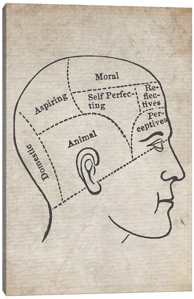 Vintage Psychology Medical Print Canvas Art Print - Dark Academia