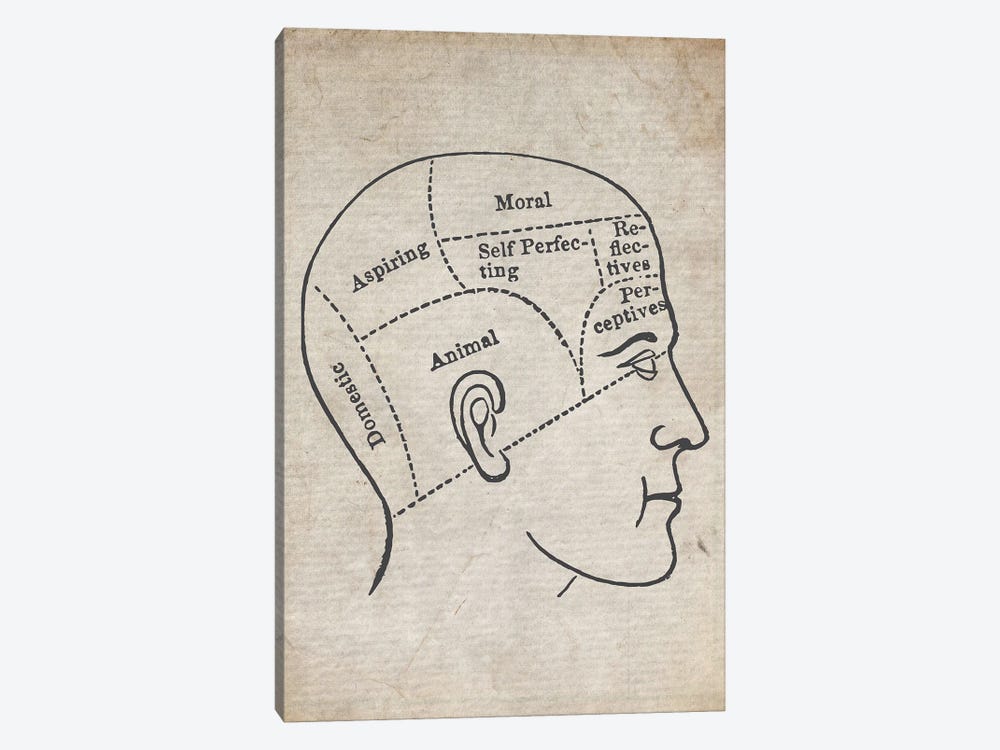 Vintage Psychology Medical Print by FisherCraft 1-piece Canvas Art Print