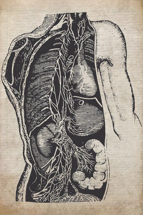 Vintage Organs Medical Print