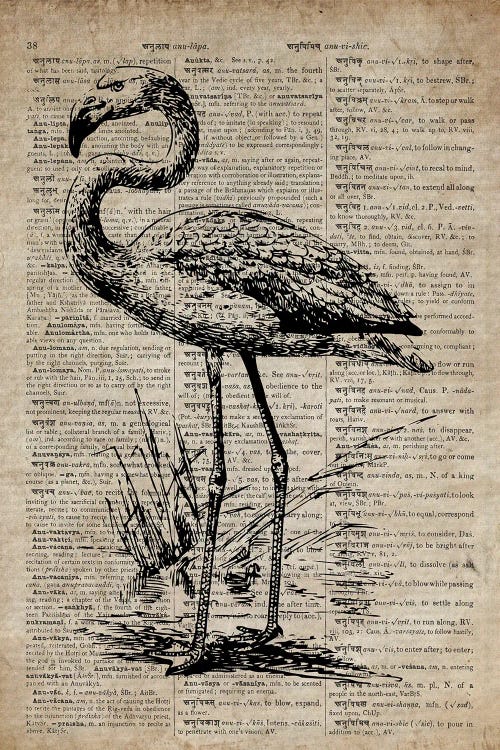 Flamingo Etching Print III On Old Dictionary Paper