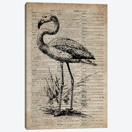 Flamingo Etching Print III On Old Dictionary Paper Canvas Print #FHC28} by FisherCraft Canvas Print