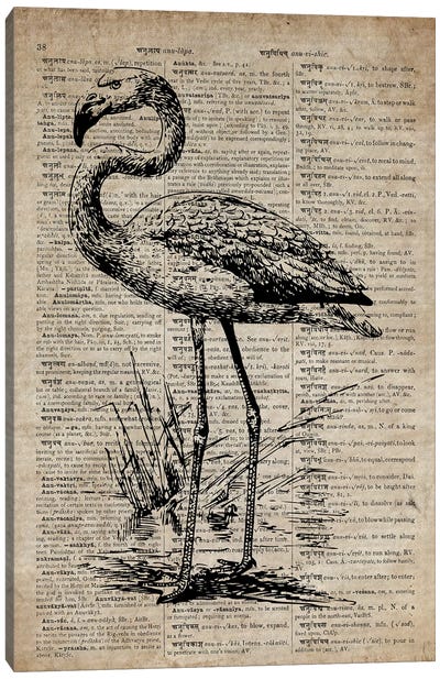Flamingo Etching Print III On Old Dictionary Paper Canvas Art Print - Cottagecore Goes Coastal