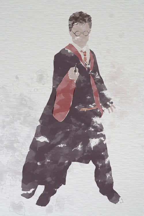 Harry Potter by FisherCraft wall art