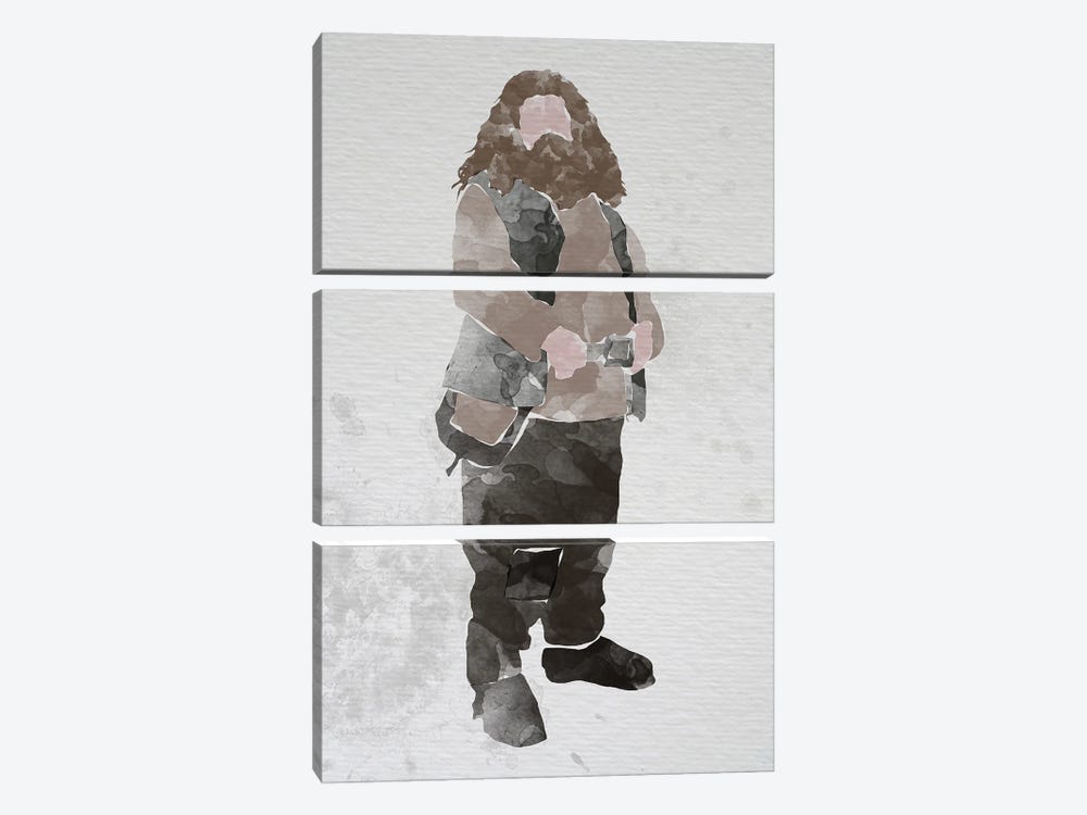Rubeus Hagrid by FisherCraft 3-piece Canvas Print