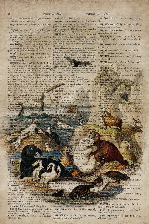 Oliver Goldsmith Water Animals