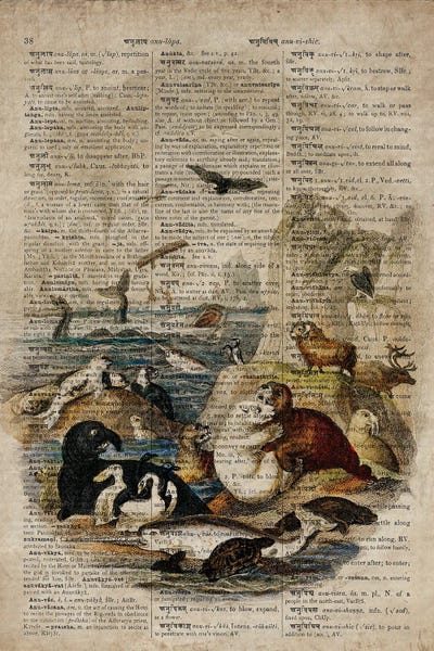 Seals & Sea Lions: Oliver Goldsmith Water Animals by FisherCraft