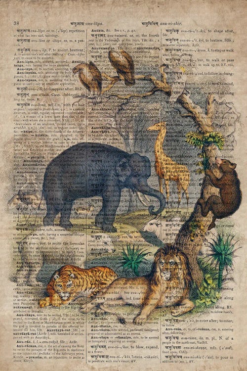 Oliver Goldsmith Jungle Animals