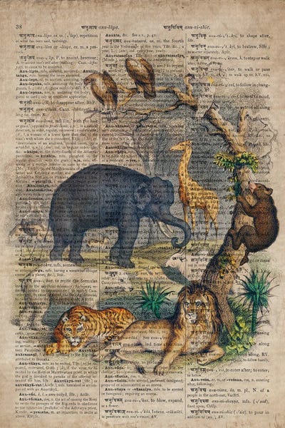 Vintage Animal Illustrations: Oliver Goldsmith Jungle Animals by FisherCraft