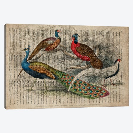 Oliver Goldsmith Birds Canvas Print #FHC325} by FisherCraft Canvas Print