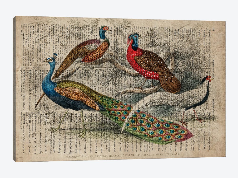 Oliver Goldsmith Birds by FisherCraft 1-piece Canvas Print