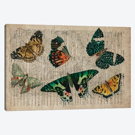 Oliver Goldsmith Butterflies Canvas Print #FHC326} by FisherCraft Canvas Print