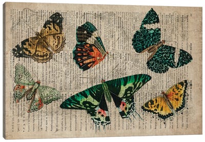 Oliver Goldsmith Butterflies Canvas Art Print - Dark Academia