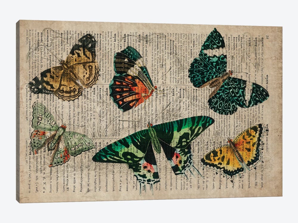 Oliver Goldsmith Butterflies by FisherCraft 1-piece Canvas Wall Art