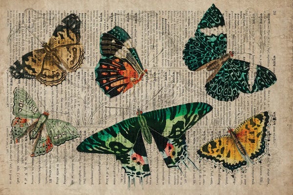 Dark Academia: Oliver Goldsmith Butterflies by FisherCraft