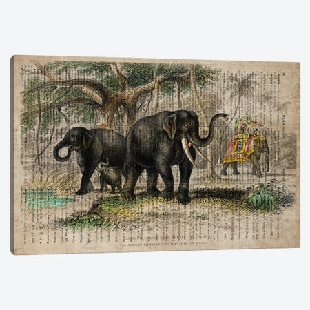 Oliver Goldsmith Elephants Canvas Print #FHC327} by FisherCraft Art Print