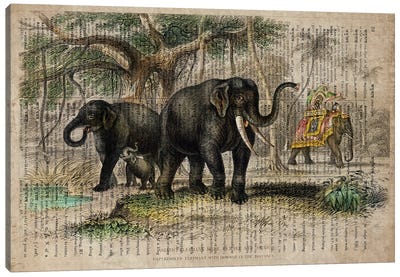 Oliver Goldsmith Elephants Canvas Art Print - FisherCraft