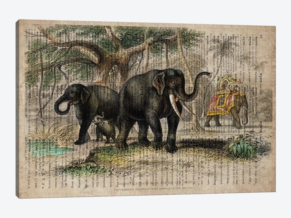 Oliver Goldsmith Elephants by FisherCraft 1-piece Art Print