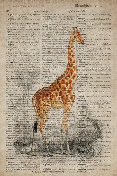 Dictionnaire Universel Giraffe by FisherCraft framed wall art