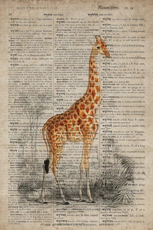 Dictionnaire Universel Giraffe