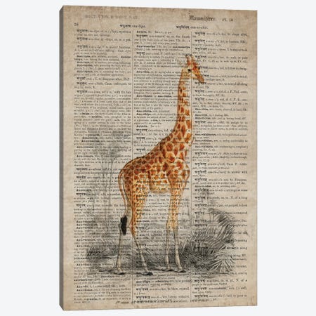 Dictionnaire Universel Giraffe Canvas Print #FHC328} by FisherCraft Canvas Wall Art