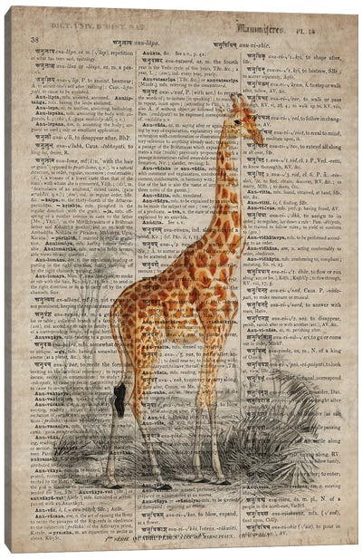Dictionnaire Universel Giraffe Canvas Art Print - FisherCraft
