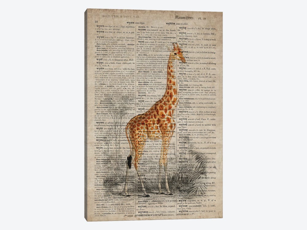 Dictionnaire Universel Giraffe by FisherCraft 1-piece Canvas Art