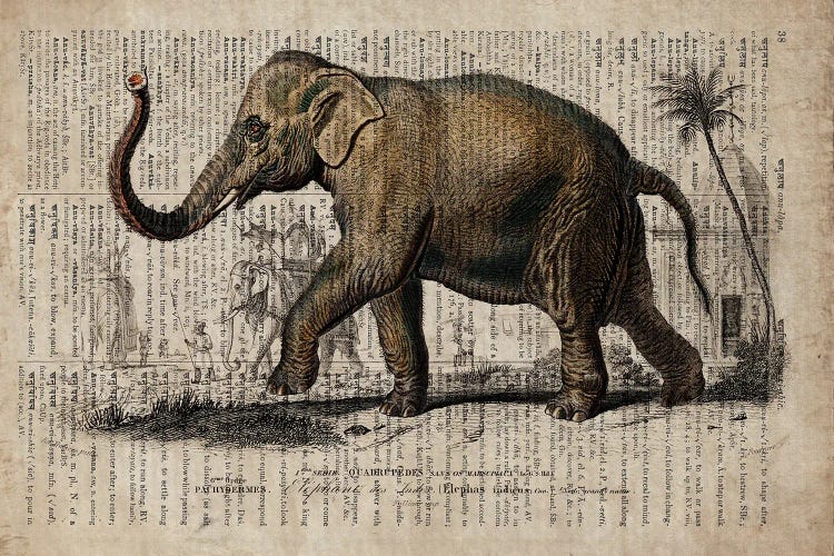 Dictionnaire Universel Elephant