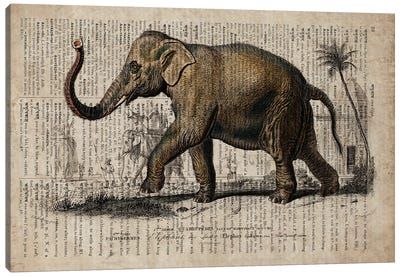 Dictionnaire Universel Elephant Canvas Art Print - FisherCraft