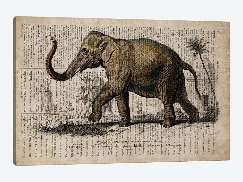 Dictionnaire Universel Elephant by FisherCraft 1-piece Canvas Print