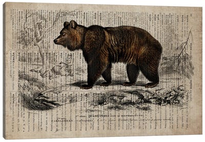 Dictionnaire Universel Bear Canvas Art Print - Grizzly Bear Art