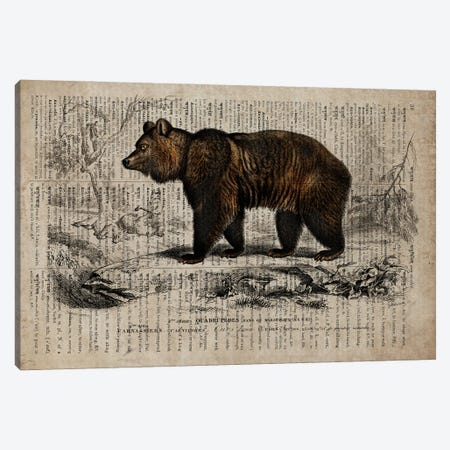 Dictionnaire Universel Bear Canvas Print #FHC330} by FisherCraft Canvas Print
