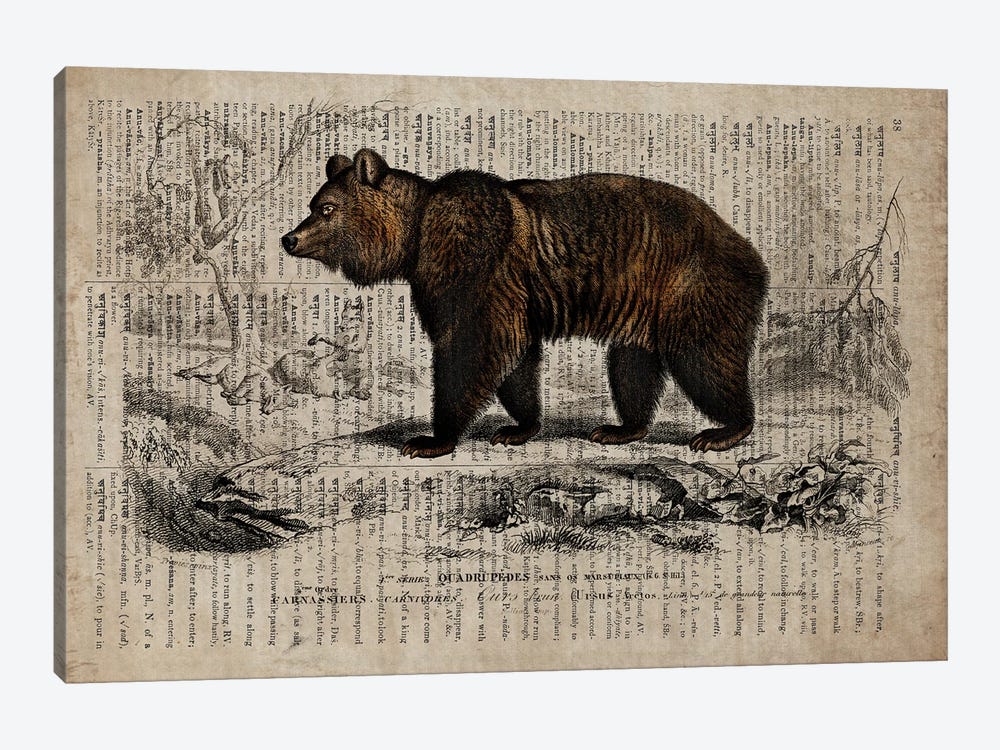Dictionnaire Universel Bear by FisherCraft 1-piece Art Print